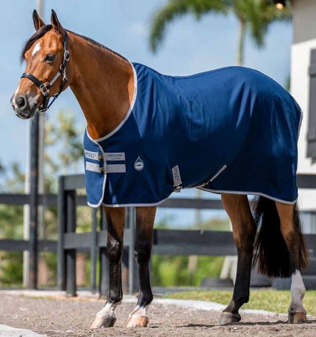 Horses | THE TACK ROOM