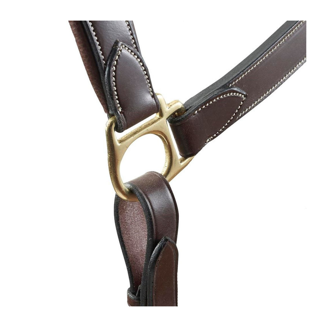 Horses | THE TACK ROOM