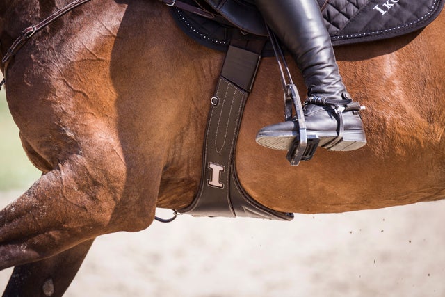 IKONIC SADDLERY | GEA Tack Store