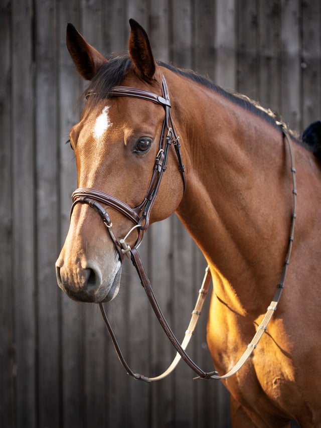 Horses | GEA Tack Store